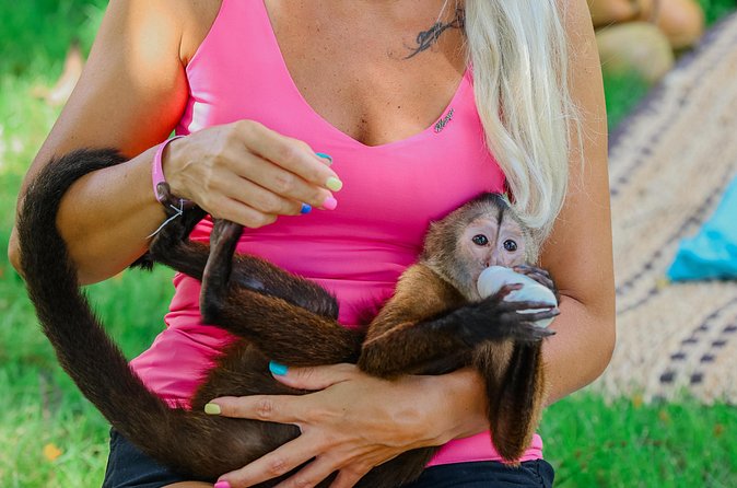 Monkey House VIP Experience with 4 species of monkeys, Punta Cana - Ground Details: Parrots, Grounds, and Weather Prep