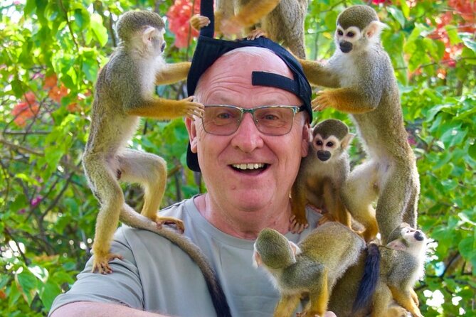 Monkey House VIP Experience with 4 species of monkeys, Punta Cana - What VIP Really Means When You Meet the Monkeys