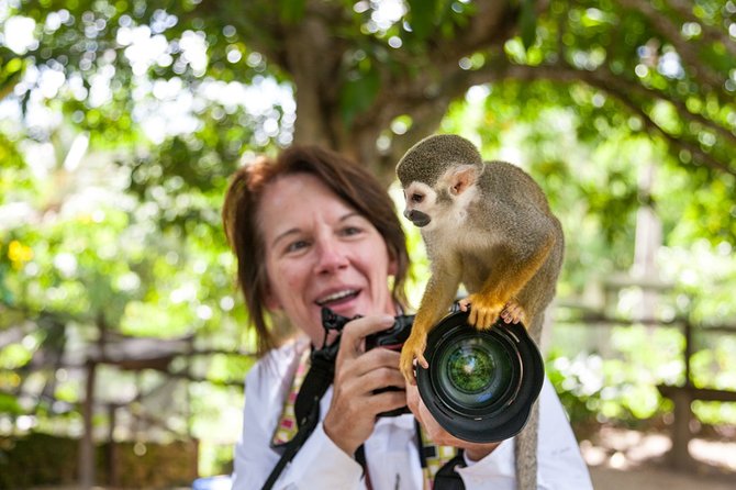 Monkeyland and Plantation Safari Tour from Punta Cana - Monkeyland Sanctuary: Squirrel Monkeys, Feeding, and Guided Control