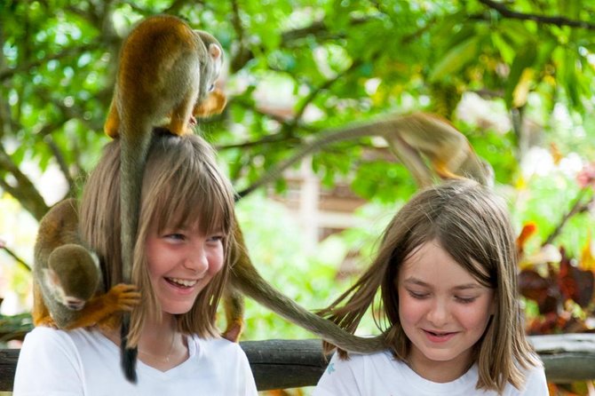 Monkeyland and Plantation Safari Tour from Punta Cana - Price and Logistics: Value, Timing, and Group Scale