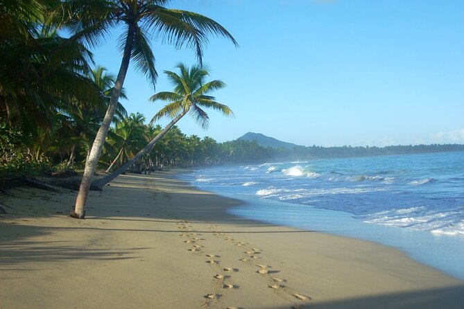 Montaña Redonda & Horseback Riding 2-in-1 Tour from Punta Cana - Price and Value: Is $237 Per Person a Smart Deal?