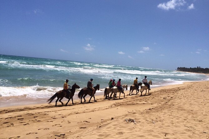 Montaña Redonda & Horseback Riding 2-in-1 Tour from Punta Cana - What to Bring, So the Day Feels Easy
