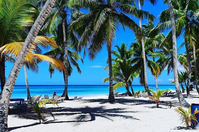 Ocean El Faro Resort - Round Trip Shuttle - Punta Cana Airport - The Ride Time: 45 to 50 Minutes in Punta Cana Traffic