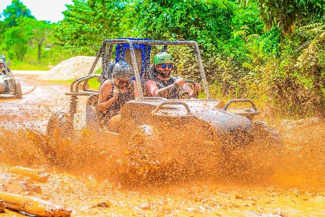 Off Road Buggy Adventure - Off-road through forest, then tastings at a local farm stop