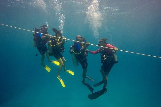 Open Water Diver - Bávaro - Key things to know before you choose this course