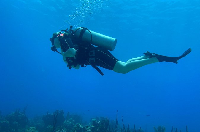 Open Water Diver - Bávaro - Boat time in Punta Cana: when sea conditions affect everything
