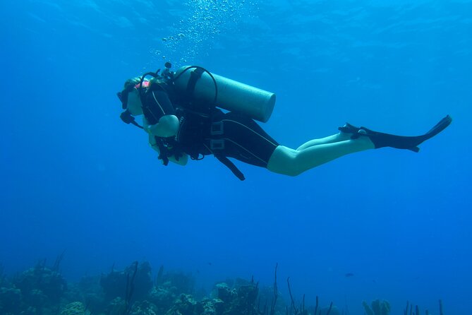 Open Water Diver - Bávaro - Price and value: is $460 a fair deal in Bávaro?