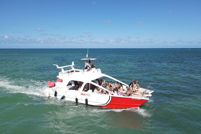 Party Boat Cruise from Punta Cana - Pickup, timing, and group size: your comfort depends on it