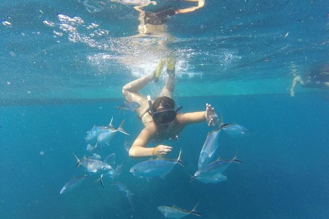 Party boat in Catamaran with Open Bar Only Adults + Snorkeling - Crowd Control and the Adults-Only Expectation