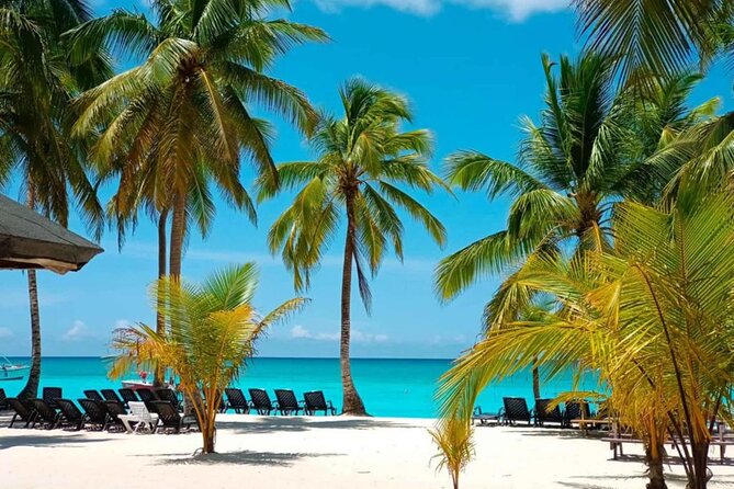 Perfect Day at Saona Island by Speedboat - Completely Private - Key things that make this Saona day special