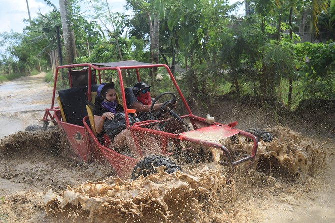 Platinum Buggy Adventure - Key things that matter before you book