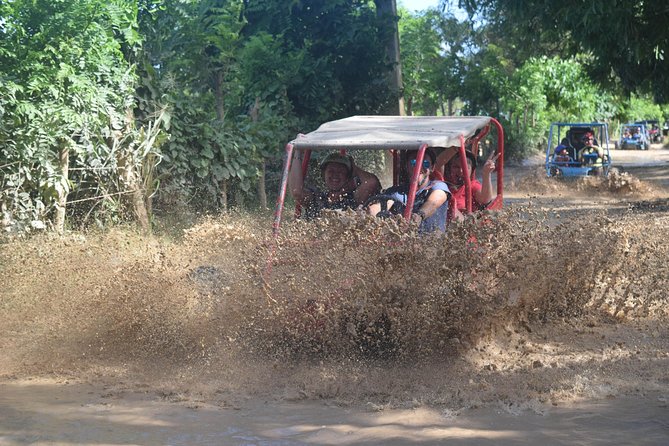 Platinum Buggy Adventure - The road time: panoramic views, open-air feel, and where your photos come from