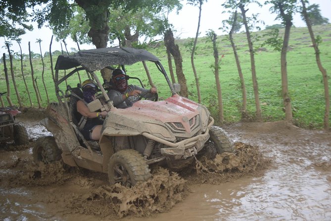 Platinum Buggy Adventure - Who this tour fits best, and who should rethink it