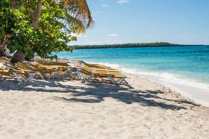 Platinum Catalina Island and Chavon River - Catalina Island National Park Time: Beach Freedom and a Big Lunch