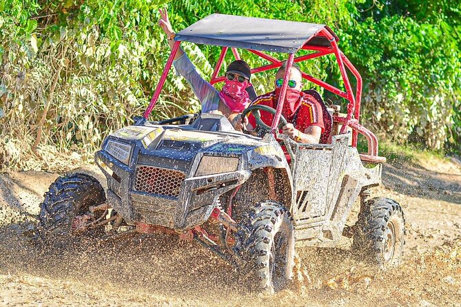 Predator Buggies Tour in Punta Cana - Price and value at $55: what you actually get for the money