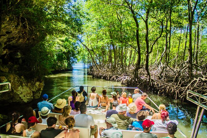 PRIVATE: 3in1 - Los Haitises N.P. + Y. Waterfall + Mount. Redonda - Key points before you go