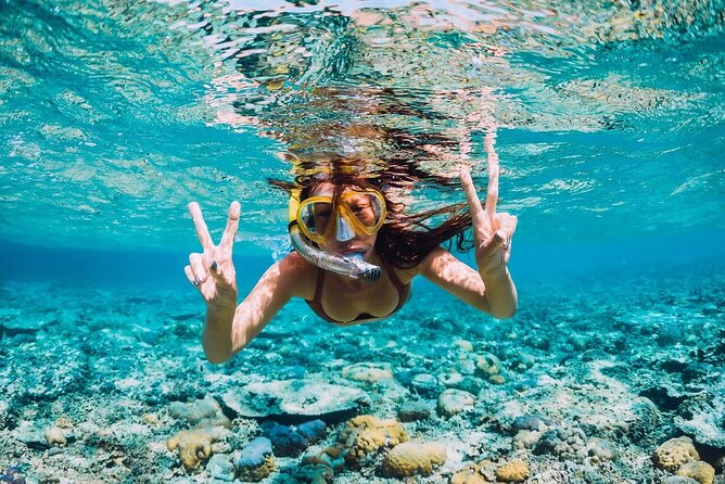 Private Activity Speedboat Ride and Snorkeling in Punta Cana - What Two Hours Feels Like On A High-Speed Caribbean Run