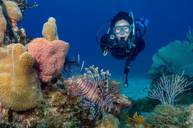 Private Bayahibe 3 Tank Diving with Lunch from Punta Cana - Key things I’d watch for on this Bayahibe 3-tank day