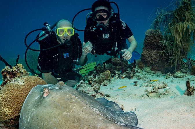Private Bayahibe 3 Tank Diving with Lunch from Punta Cana - Equipment and certification: the details that can make or break your day