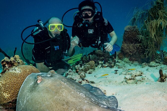 Private Bayahibe 3 Tank Diving with Lunch from Punta Cana - Who this trip suits best (and who should skip it)