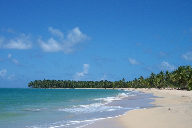 Private Boat Nature Tour of Limón Beach and Lagoon - Key things to look forward to