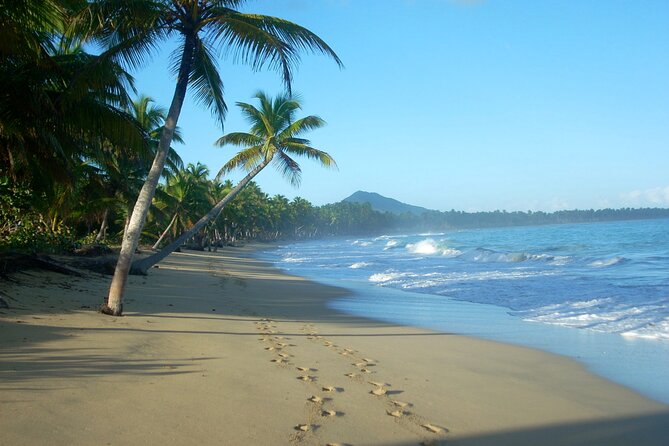 Private Boat Nature Tour of Limón Beach and Lagoon - The guide factor: learning the area without making it feel scripted