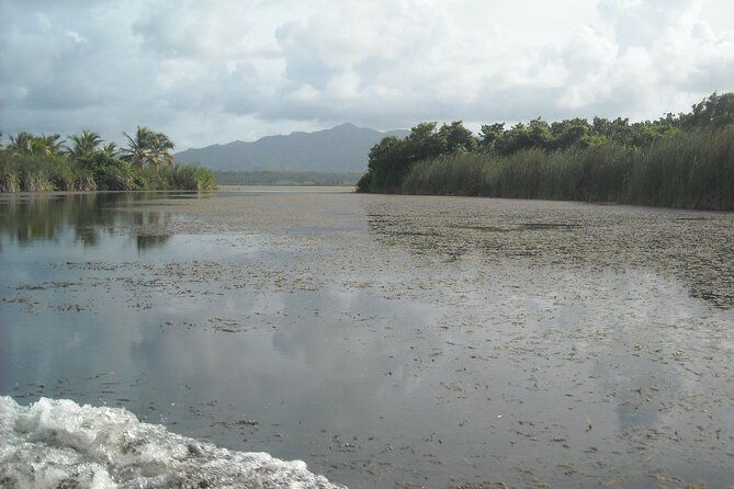 Private Boat Nature Tour of Limón Beach and Lagoon - Weather and comfort: planning for a nature boat day