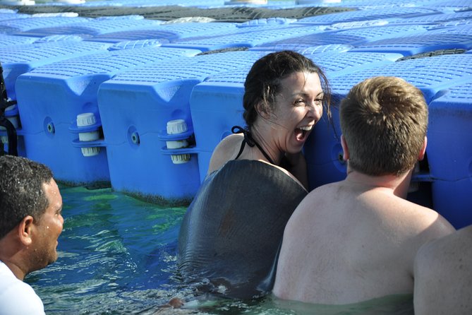 Private Caribbean Snorkeling Cruise At Punta Cana & Sharks, Stingray Encounter - Meeting At Melia Tropical Beach Restaurant And Boarding Right Away