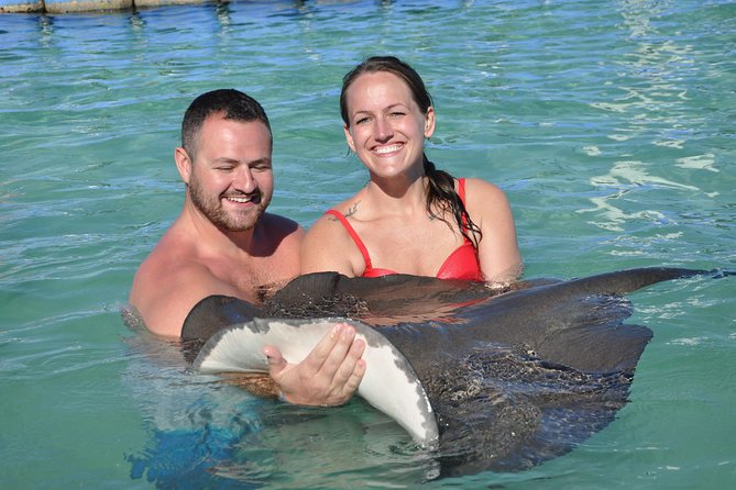 Private Caribbean Snorkeling Cruise At Punta Cana & Sharks, Stingray Encounter - Price, Value, And Who This Private Charter Fits Best