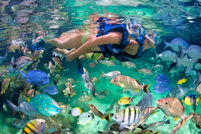 Private Catamaran Snorkeling Family Adventure - The Natural Pool Finale: The Payoff Moment
