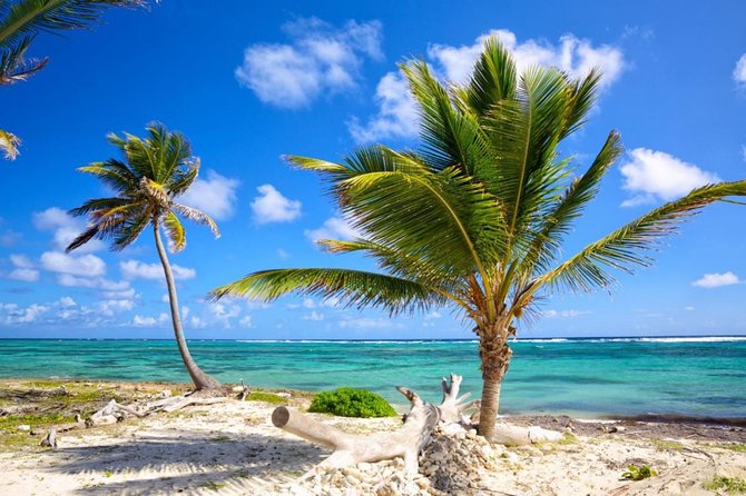 Private Departure Transfer from Punta Cana to Punta Cana airport (PUJ) - The Pickup: Meet, Greet, and Find You Fast