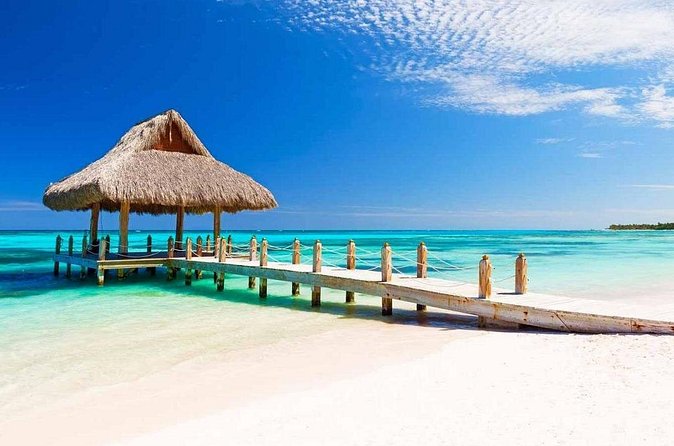 Private Departure Transfer from Punta Cana to Punta Cana airport (PUJ) - In The Car: A Chauffeur So You Can Switch Off