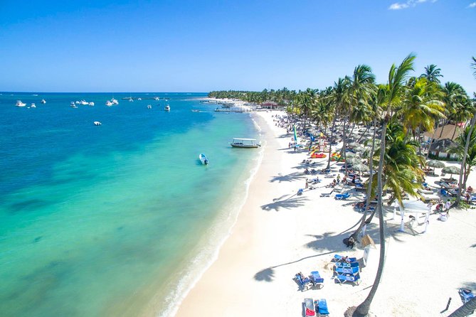 Private Departure Transfer from Uvero Alto to Punta Cana airport (PUJ) - Uvero Alto Pickup: How the Meet Time Actually Feels in Real Life
