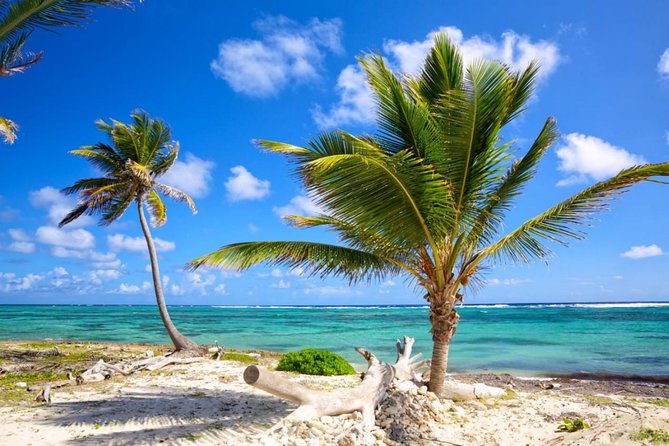Private Departure Transfer from Uvero Alto to Punta Cana airport (PUJ) - Who This Transfer Fits Best (And Who Might Want Something Else)