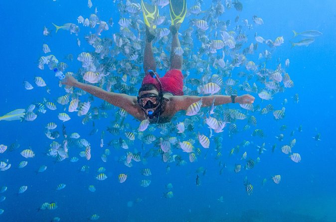 Private Full Day Charter to Saona Island from Punta Cana - Starfish Cay (Palmilla) Sandbar: The Waist-Deep “Stop and Stare” Moment