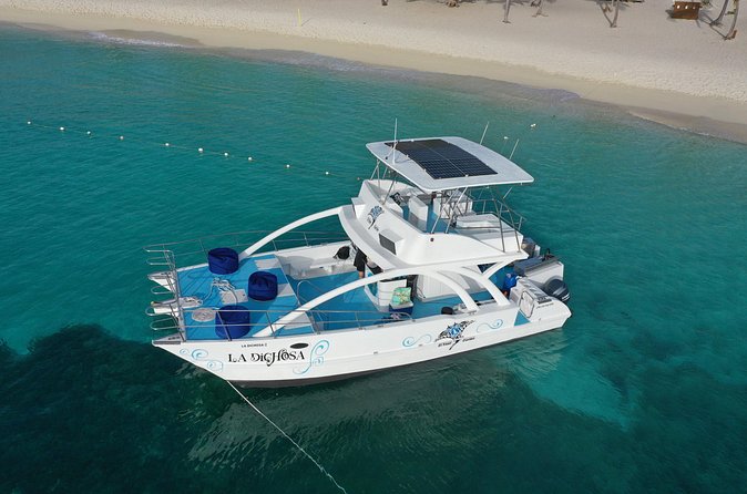 Private Full Day Charter to Saona Island from Punta Cana - Scuba Participants and Snorkelers: One Day, Different Levels