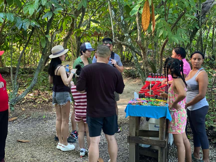 Private Half Day Tour in Punta Cana-Higüey with Local Guide - The short shopping stop: quick, practical, and easy to skip if you want