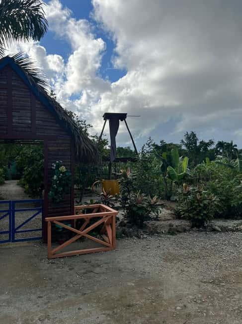 Private Half Day Tour in Punta Cana-Higüey with Local Guide - Higüey market panoramas: fruit, color, and a little controlled chaos