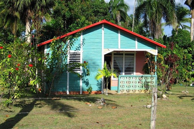 Private Higuey City Tour Real Life in Punta Cana (Half Day) - Higuey market stop: souvenirs, local life, and how to shop smart