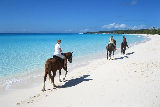 Private Macao Beach horseback riding in punta cana and Bayahibe - Why Macao Beach horseback riding feels different than resort tours