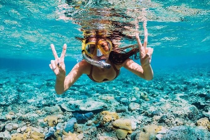 Private Party Boat with Snorkeling in Playa Bibijagua - Snorkeling in Punta Cana: how to make the most of it
