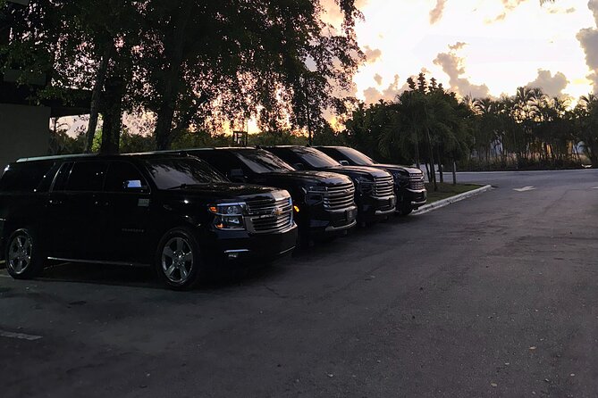 Private Punta Cana Airport Transfers Hotels in Dominican Republic - Should You Book This Private Transfer?