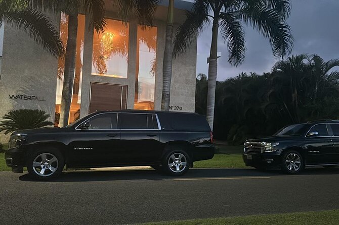 Private Punta Cana Luxury Car Transportation - Families and special needs: child seats and wheelchair-friendly options
