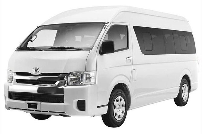 Private Punta Cana Round-Trip Airport Transfer - Your Punta Cana Airport Transfer, Without the Guessing