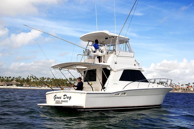 Private Punta Cana Six Hour Fishing Charter - What You’re Targeting Offshore (And Why That Matters for Your Expectations)