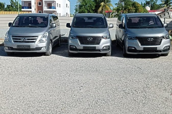 Private Roundtrip Transfer from Punta Cana Airport to Hotels - Vehicle fit, luggage math, and that crummy van warning