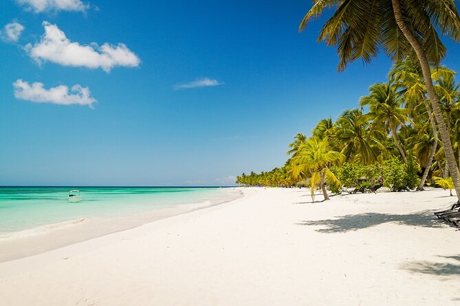 Private Saona Island Excursion - Key Takeaways Before You Go