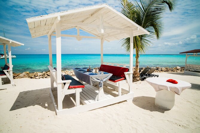 Private Saona Island Excursion - Drinks All Day: Rum, Beer, Rum Punch, and Champagne on Request