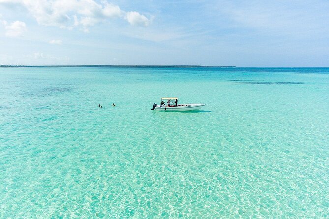 Private Saona Island Excursion - Optional Snorkeling and the Wildlife You Might Spot