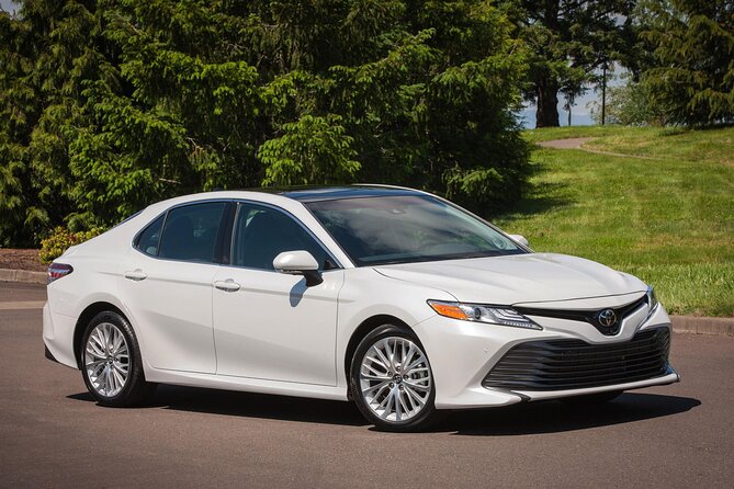 Private Sedan in Punta Cana Airport to Punta Cana Hotels - Key Points That Matter for Punta Cana Transfers